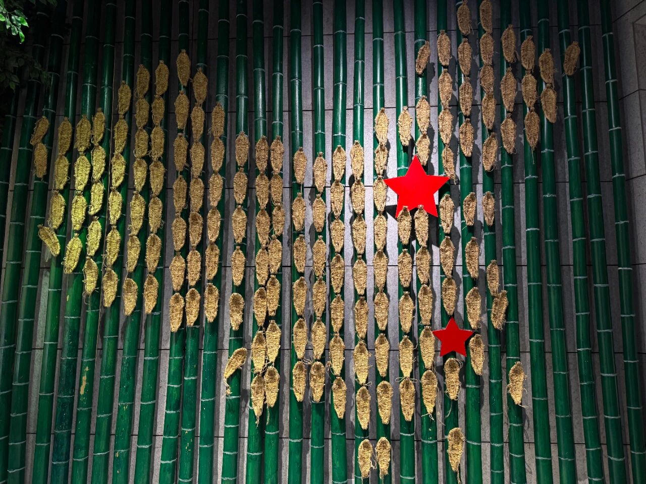 微信图片_2026-08-09_165911_583.jpg